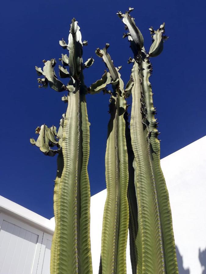 הוילה Guatiza Casa Azmira Del Mar מראה חיצוני תמונה